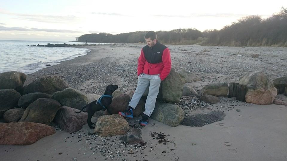 Dogo canario Bandito Fuerza Bull billede 11