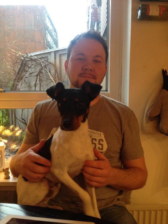 Dansk svensk gaardhund Bandit billede 31