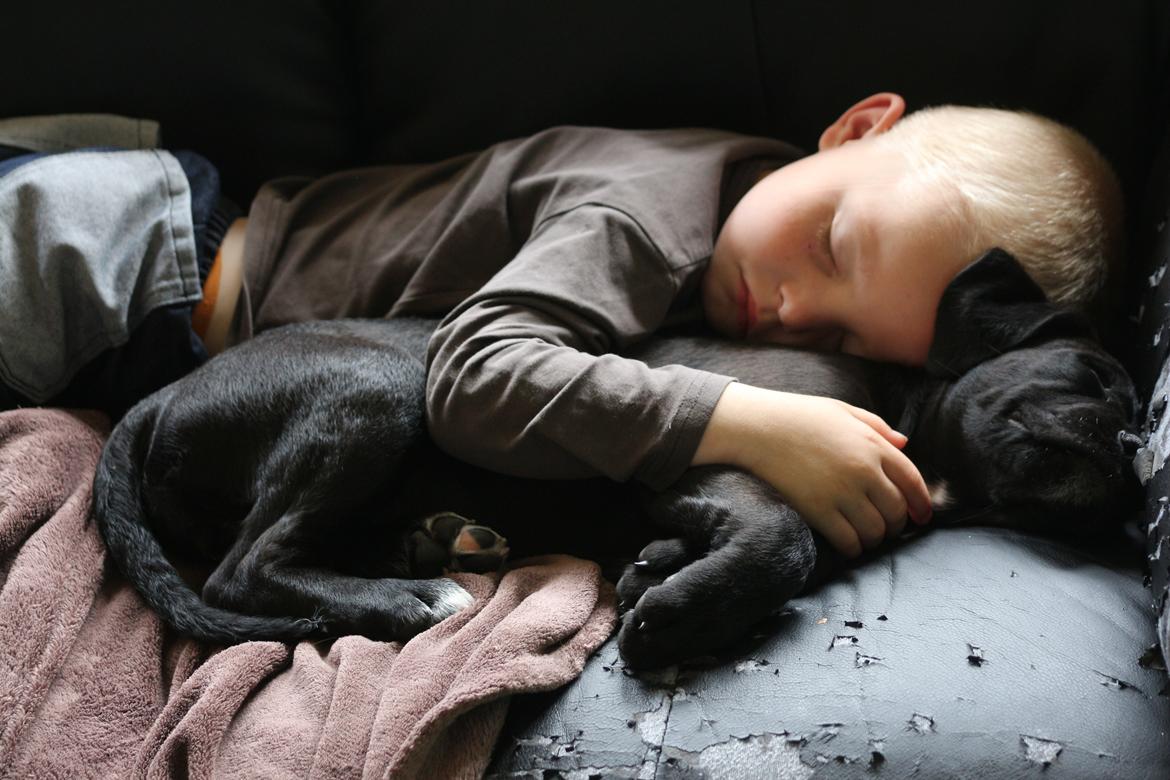 Blanding af racer Nela billede 6