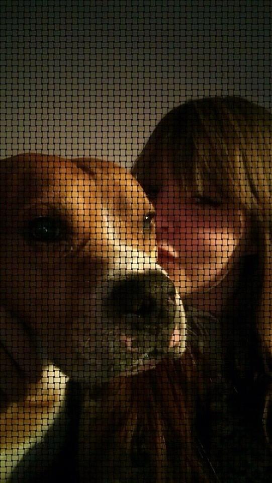 Blanding af racer Bobby billede 1