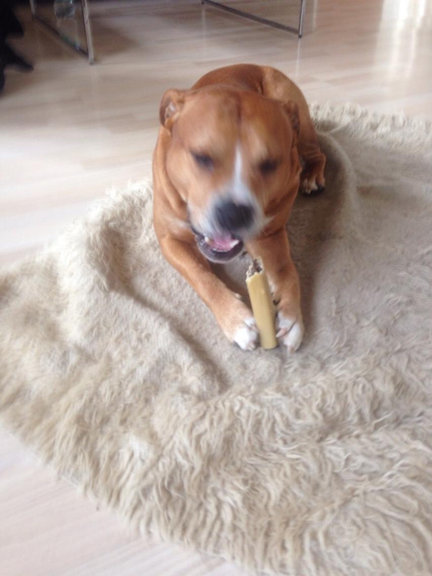 Blanding af racer Bobby billede 5