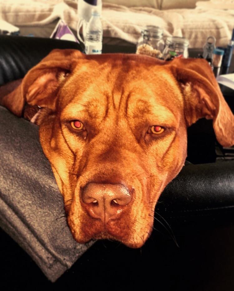 Blanding af racer Jamil billede 14