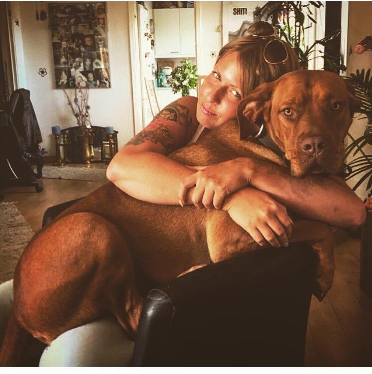 Blanding af racer Jamil billede 16