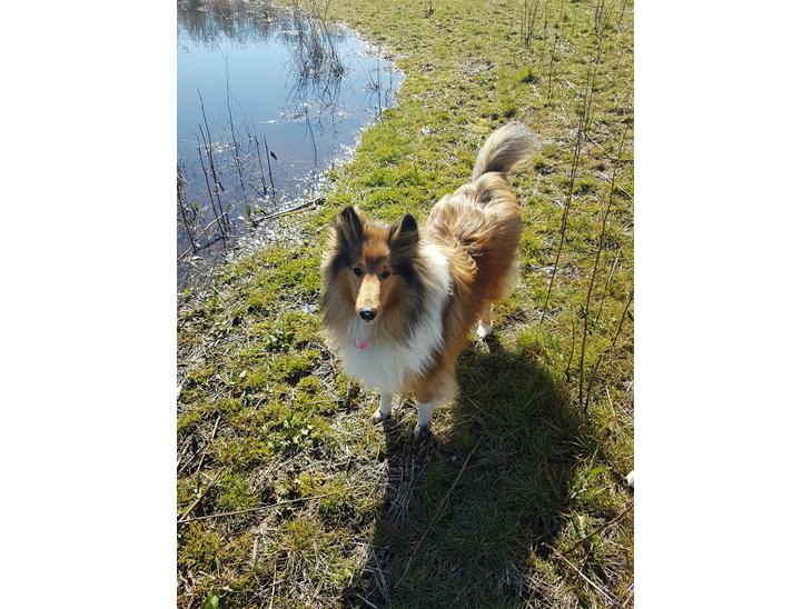 {{currentPhoto.altText}} billede {{currentPhoto.number}}