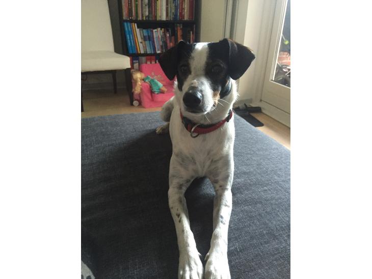 {{currentPhoto.altText}} billede {{currentPhoto.number}}