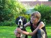 Grand danois Lucia ¤RIP¤