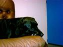 Labrador retriever Bolette