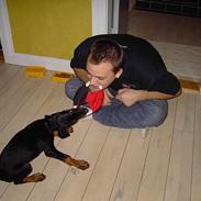 Dobermann Raphael`s Enigma