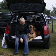 Grand danois Jorvik´s Freja