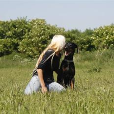 Dobermann Jotunheim Winge* 