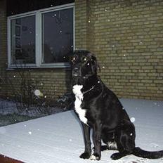 Blanding af racer lady