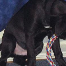 Blanding af racer tyson