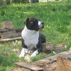 Blanding af racer Nickie DØD d.23-9-06