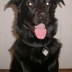 Blanding af racer Buzz Lightyear