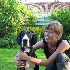 Grand danois Lucia ¤RIP¤