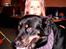 Blanding af racer Sacha RIP - Sacha "close up" med Chatana i baggrunden