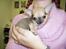 Chihuahua jay jay star