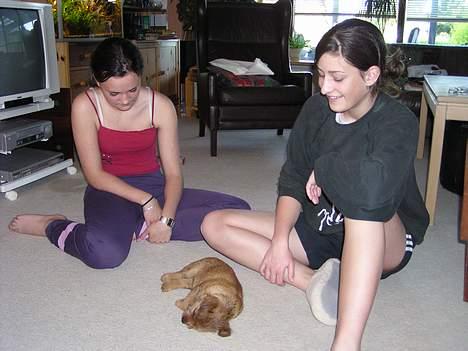 Norfolk terrier Gaia - Mig (til højre) og min veninde og selvfølgelig Gaia i midten... billede 5