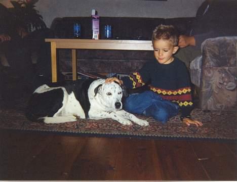 Blanding af racer Pletti (død) - pletti og tobias billede 4