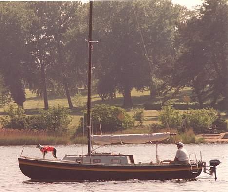 Blanding af racer Pletti (død) - står på skibet billede 5