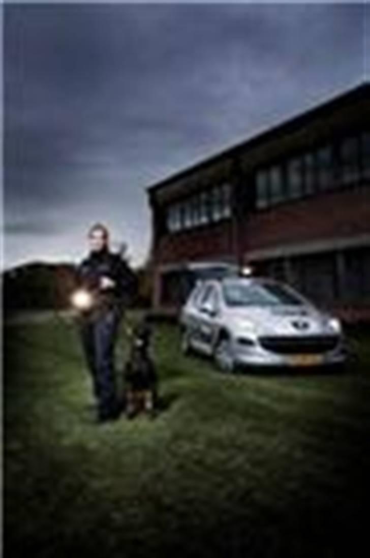 Dobermann DiaZ  Van`t Hof ter Helle - Peugeot magasin 2009 billede 10