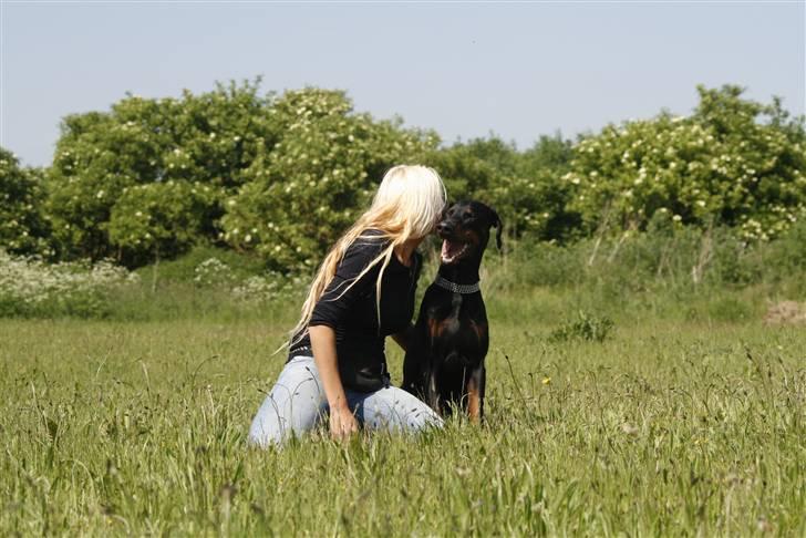 Dobermann Jotunheim Winge*  - *NYT* Forsommer 2007 billede 1