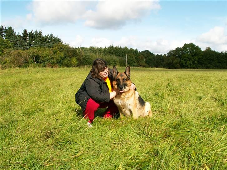 Schæferhund Nemo 2/3-97 - 22/9-07 - Nemo med sin mor på den sidste dag. NYT 24/9 billede 4