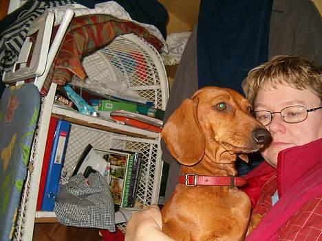 Gravhund Berta *R*I*P*  2007 billede 9