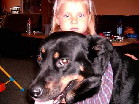 Blanding af racer Sacha RIP - Sacha "close up" med Chatana i baggrunden billede 4