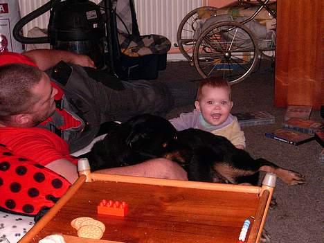 Blanding af racer Sacha RIP - Familiehygge på gulvet! DET gider Sacha gerne *GG* billede 5