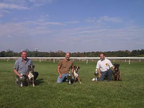 Boxer Rodsteds Dina billede 2