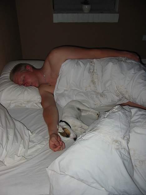 Parson russell terrier Gaia - gaia og "far" billede 4