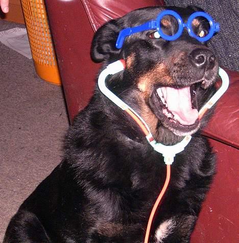 Blanding af racer Sacha RIP - Dr. Sacha er klar til at tage imod patienter billede 7