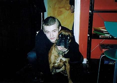 Boxer Chap - Lille spejl på væggen der, hvem er smukkest, af os to her??? billede 1