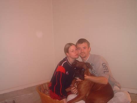 Boxer Chap - mor,far og mig og mor venter min nye "lille-bror" billede 4