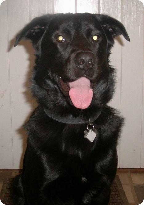 Blanding af racer Buzz Lightyear billede 1