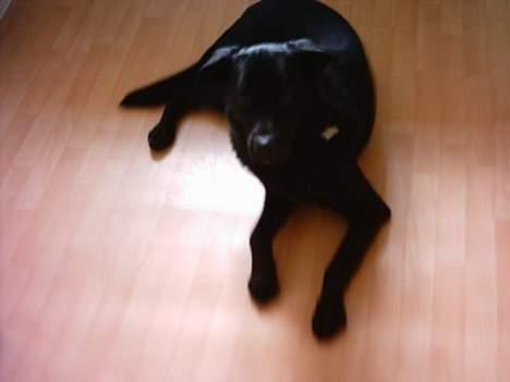 Blanding af racer Buzz Lightyear billede 5