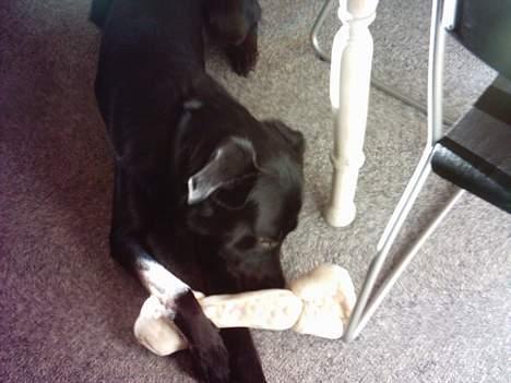 Blanding af racer Buzz Lightyear billede 6