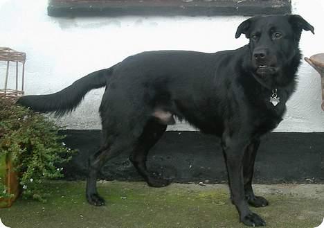 Blanding af racer Buzz Lightyear billede 7