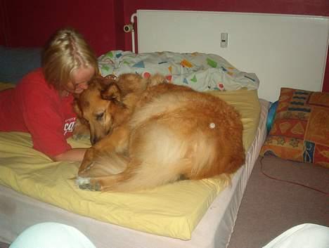 Blanding af racer Bella billede 4