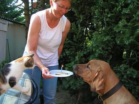Broholmer Aske - TILLYKKE Aske 1 år billede 5