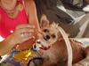 Blanding af racer Gizmo