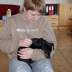 Blanding af racer vimse