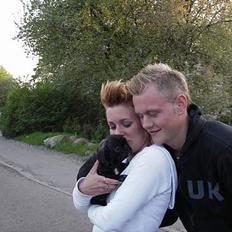 Fransk bulldog coco chanel