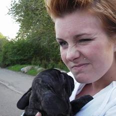 Fransk bulldog coco chanel