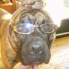 Blanding af racer Tjalfe - Nu Uden Klodser*