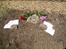 Blanding af racer Cody *DØD* - Det sidste hvilested!!! R.I.P