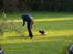 Australsk cattledog Abim