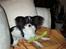 Papillon sille R.I.P :'( - Er træt efter at have leget..
