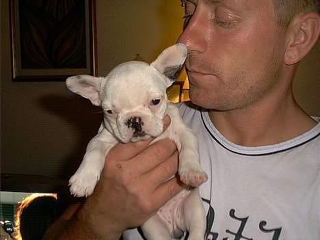 Blanding af racer mister - se min lille søster Noa (og kim min far) billede 8